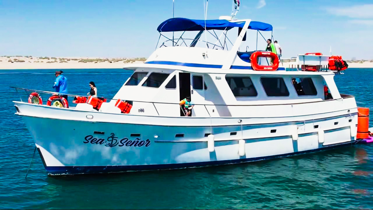 Guests enjoying Sea Señor